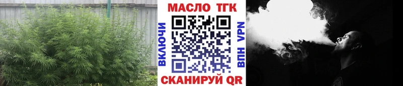 ТГК жижа  Шахунья 