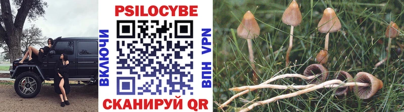 Псилоцибиновые грибы Magic Shrooms  где найти наркотики  Шахунья 